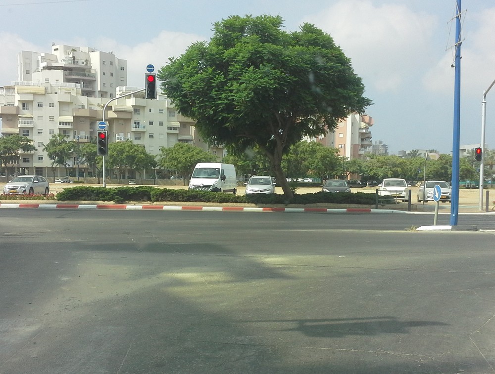 Особенности дорожного движения в Израиле